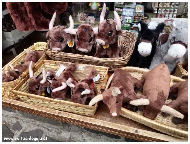 Salers au Cantal. Le meilleur de la cité médiévale en Auvergne