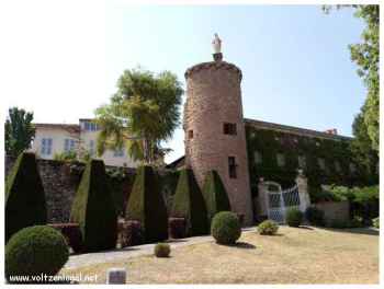Cathédrale Saint-Haon au XIIIe siècle, châteaux environnants, richesses culturelles.