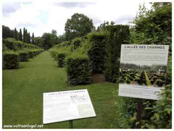 Visite des jardins d'Eyrignac un site magique en Dordogne