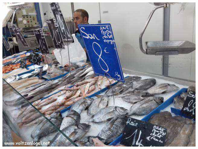 Exploration des trésors de l'Avenue de La Canebière à Marseille.