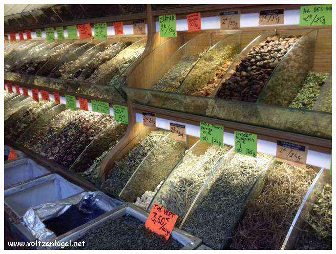 Exploration des trésors de l'Avenue de La Canebière à Marseille.