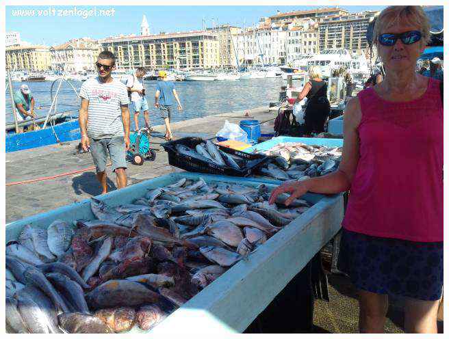 Exploration des trésors de l'Avenue de La Canebière à Marseille.
