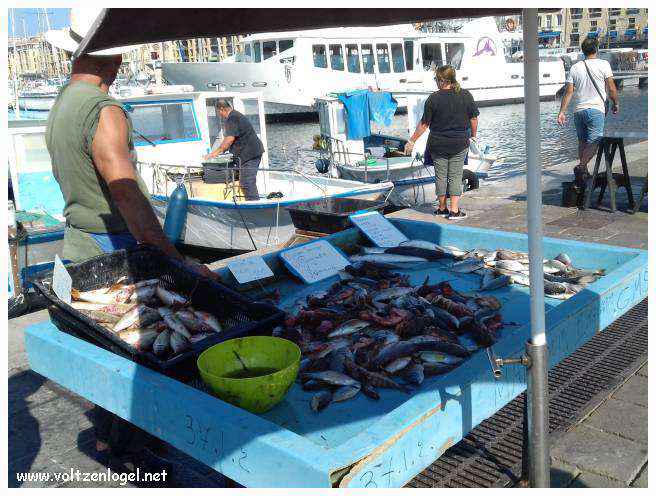 Exploration des trésors de l'Avenue de La Canebière à Marseille.