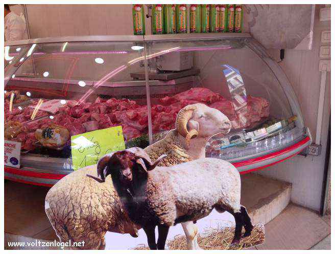 Exploration des trésors de l'Avenue de La Canebière à Marseille.