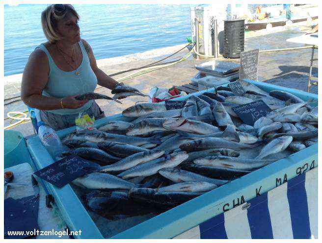 Exploration des trésors de l'Avenue de La Canebière à Marseille.