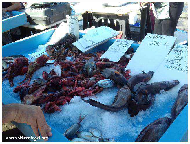Exploration des trésors de l'Avenue de La Canebière à Marseille.
