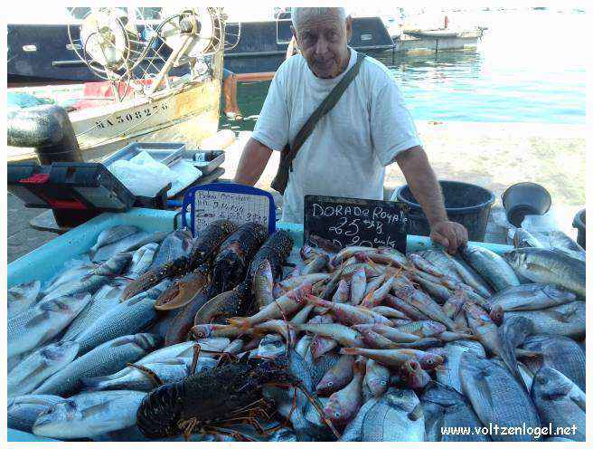 Exploration des trésors de l'Avenue de La Canebière à Marseille.