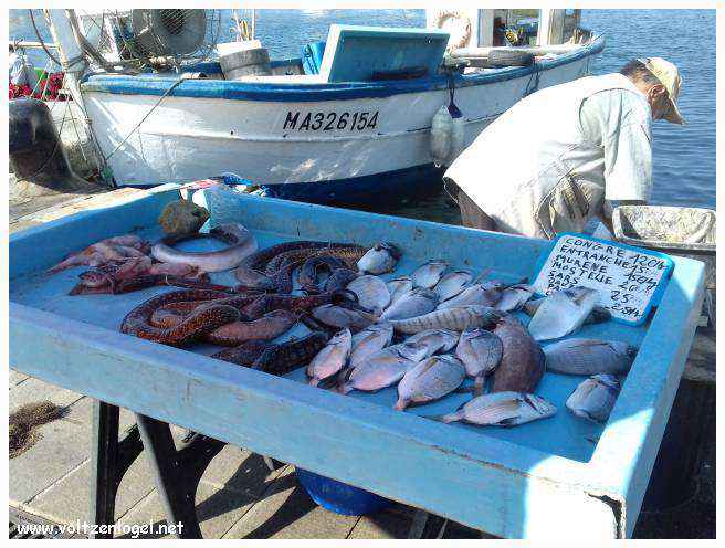 Exploration des trésors de l'Avenue de La Canebière à Marseille.