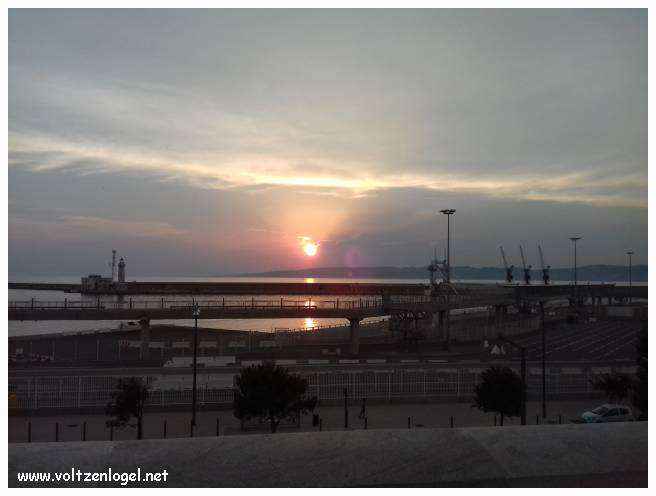 Cathédrale de Marseille: Immersion dans son patrimoine culturel et artistique.