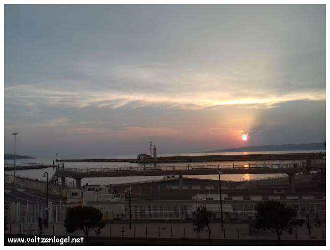 Cathédrale de Marseille: Immersion dans son patrimoine culturel et artistique.