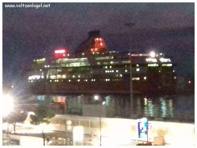 Cathédrale de Marseille: Immersion dans son patrimoine culturel et artistique.