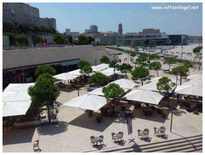 Cathédrale de Marseille: Immersion dans son patrimoine culturel et artistique.