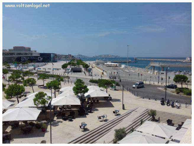Cathédrale de Marseille: Immersion dans son patrimoine culturel et artistique.