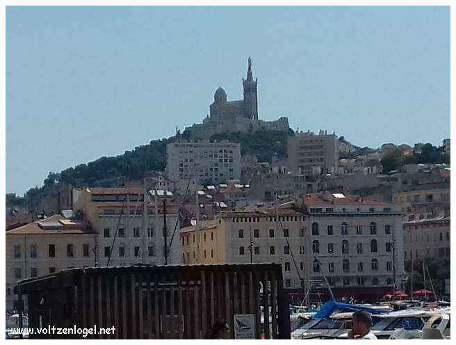 Cathédrale de Marseille: Immersion dans son patrimoine culturel et artistique.