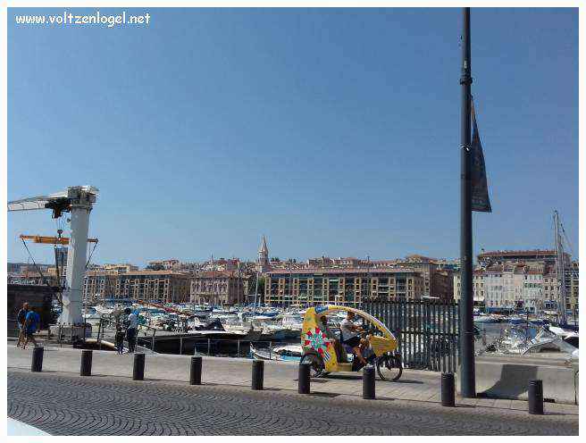 Cathédrale de Marseille: Immersion dans son patrimoine culturel et artistique.