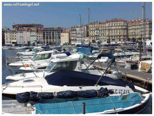 Cathédrale de Marseille: Immersion dans son patrimoine culturel et artistique.