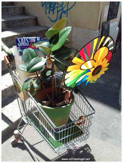 Vue panoramique du Panier à Marseille, révélant son riche patrimoine historique.