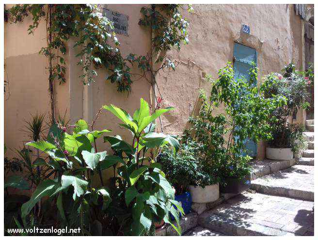 Exploration des trésors cachés du quartier historique du Panier à Marseille.
