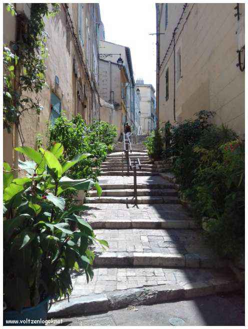Exploration captivante du Panier de Marseille : découverte des trésors cachés et des sites emblématiques.