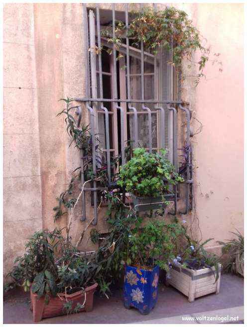 Exploration des trésors cachés du quartier historique du Panier à Marseille.