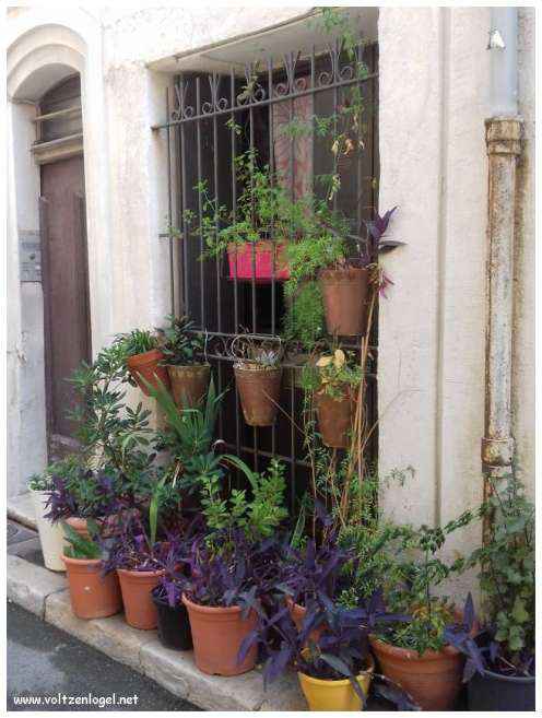 Exploration des trésors cachés du quartier historique du Panier à Marseille.