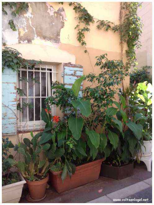 Exploration des trésors cachés du quartier historique du Panier à Marseille.