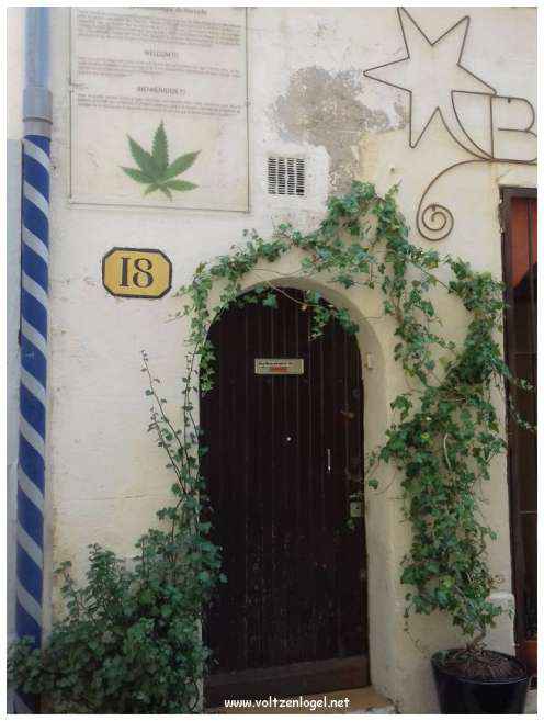 Vue pittoresque des ruelles du Panier, Marseille, berceau de l'histoire et du charme provençal.