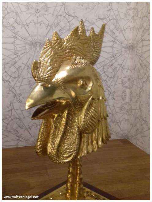 Vue panoramique sur Marseille, ville des trésors méditerranéens.