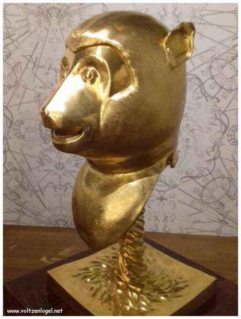 Vue panoramique sur Marseille, ville des trésors méditerranéens.