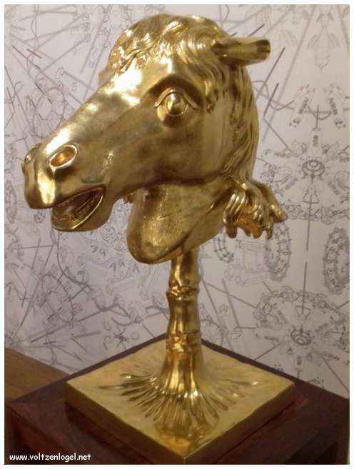 Vue panoramique sur Marseille, ville des trésors méditerranéens.