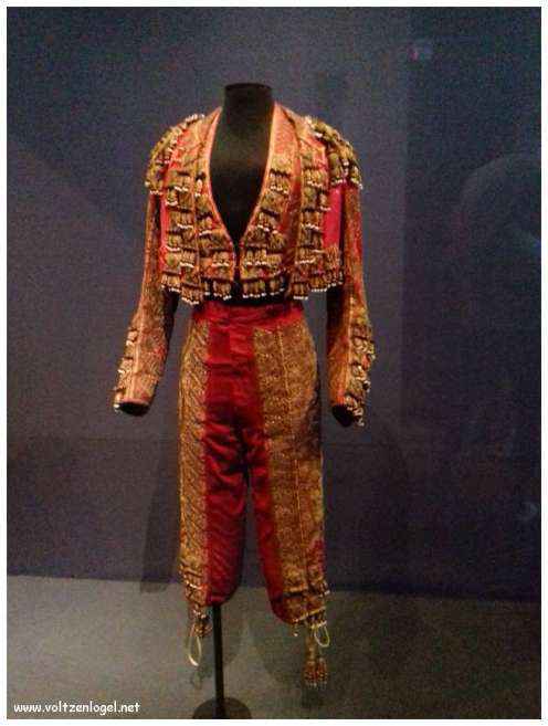 Vue panoramique sur Marseille, ville des trésors méditerranéens.