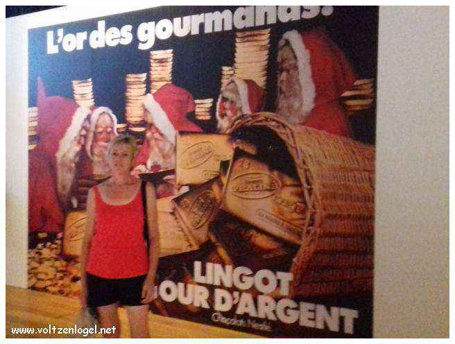 Vue panoramique sur Marseille, ville des trésors méditerranéens.