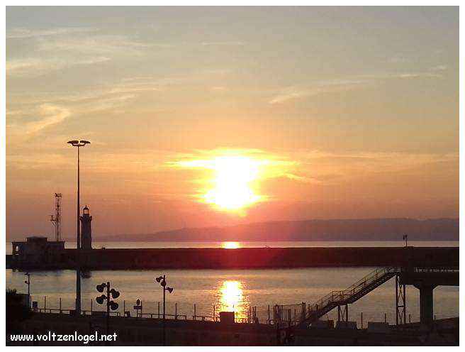 Vue panoramique du Vieux-Port de Marseille, symbole de l'histoire maritime et des attractions captivantes.