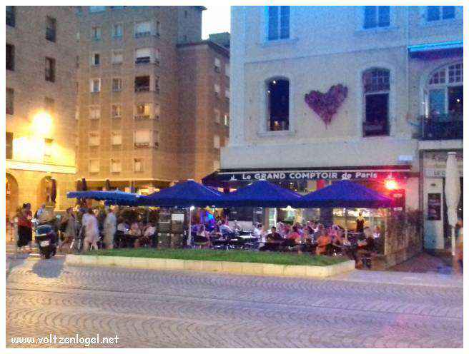 Vue panoramique du Vieux-Port de Marseille, symbole de l'histoire maritime et des attractions captivantes.