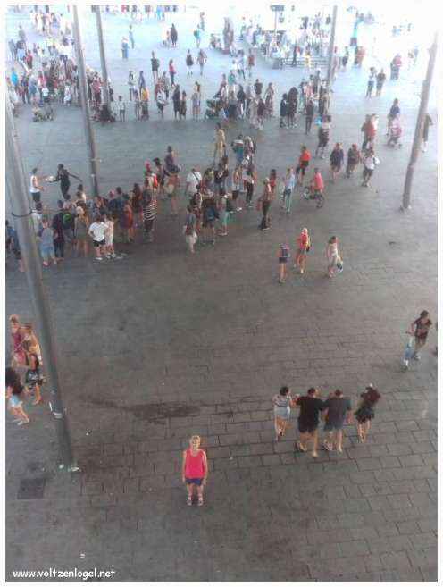 Vue panoramique du Vieux-Port de Marseille, symbole de l'histoire maritime et des attractions captivantes.