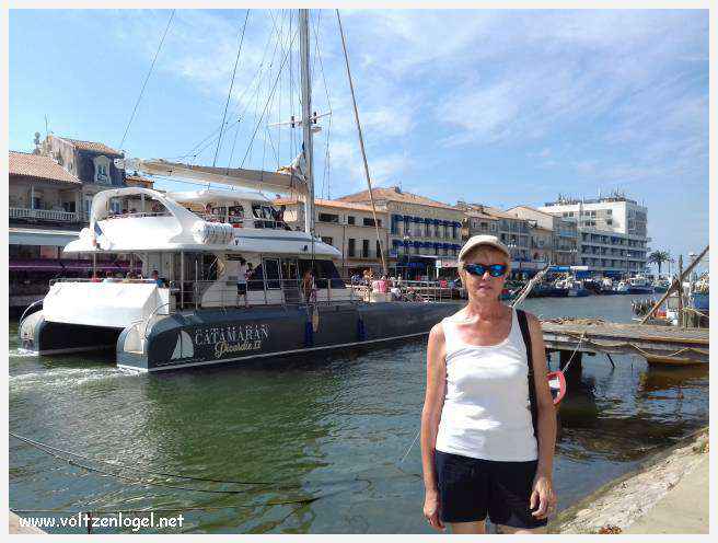 Cheval camarguais galopant librement dans les marais, symbole de la nature sauvage de la Camargue.