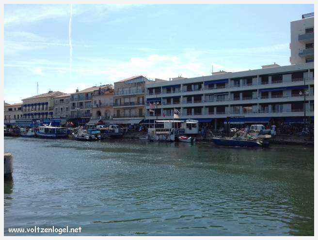 Cheval camarguais galopant librement dans les marais, symbole de la nature sauvage de la Camargue.