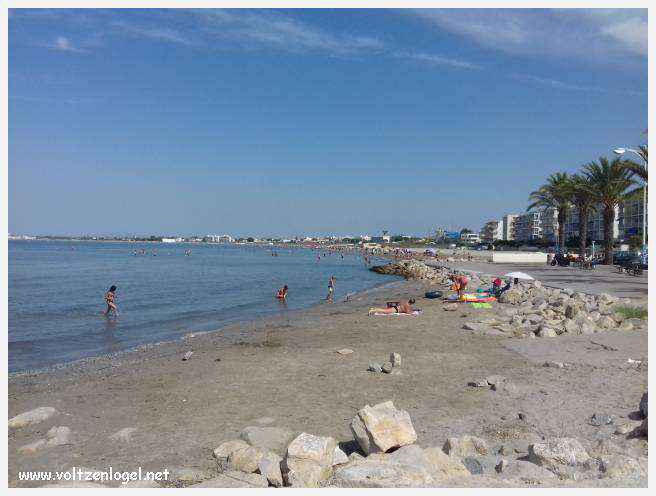 Cheval camarguais galopant librement dans les marais, symbole de la nature sauvage de la Camargue.