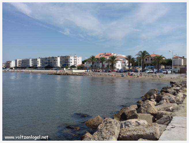 Cheval camarguais galopant librement dans les marais, symbole de la nature sauvage de la Camargue.