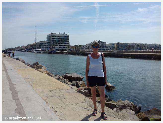 Cheval camarguais galopant librement dans les marais, symbole de la nature sauvage de la Camargue.