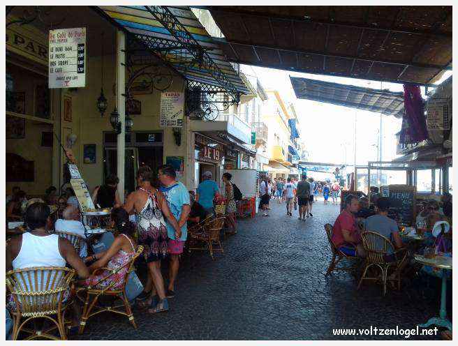 Cheval camarguais galopant librement dans les marais, symbole de la nature sauvage de la Camargue.