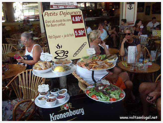 Cheval camarguais galopant librement dans les marais, symbole de la nature sauvage de la Camargue.