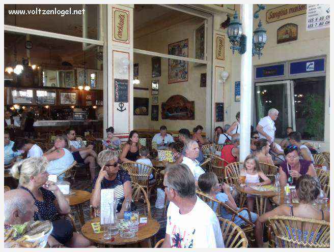 Cheval camarguais galopant librement dans les marais, symbole de la nature sauvage de la Camargue.