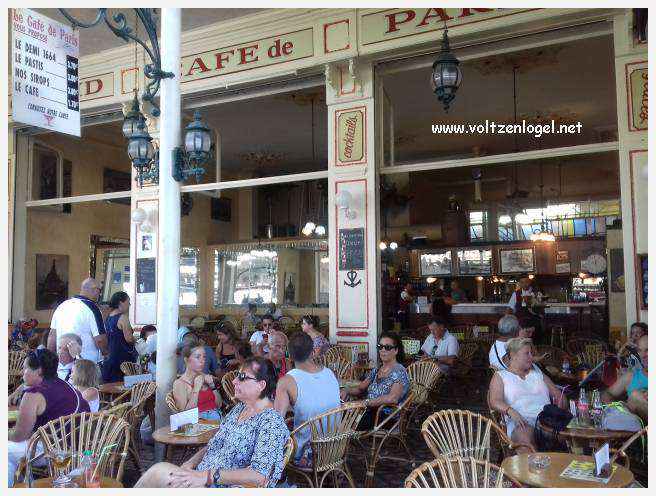 Cheval camarguais galopant librement dans les marais, symbole de la nature sauvage de la Camargue.