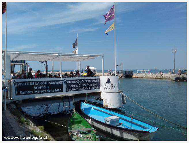 Cheval camarguais galopant librement dans les marais, symbole de la nature sauvage de la Camargue.