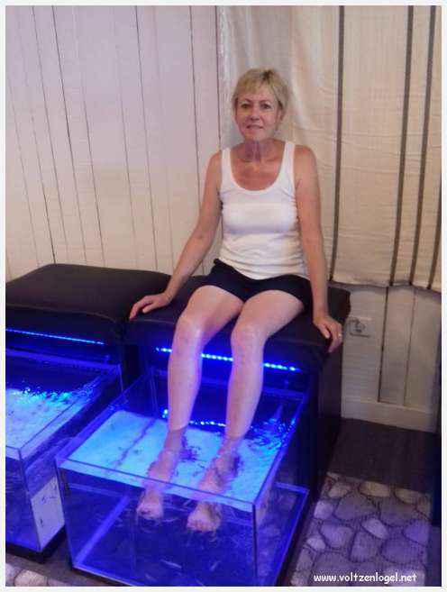 Cheval camarguais galopant librement dans les marais, symbole de la nature sauvage de la Camargue.