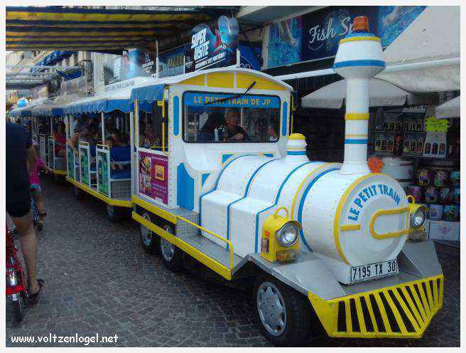 Cheval camarguais galopant librement dans les marais, symbole de la nature sauvage de la Camargue.