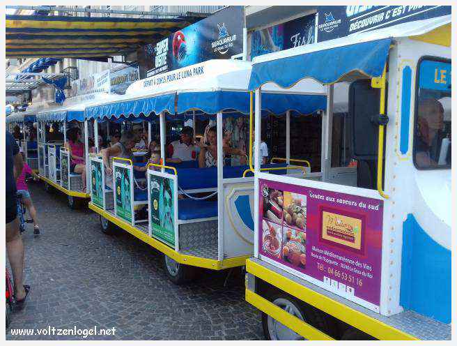 Cheval camarguais galopant librement dans les marais, symbole de la nature sauvage de la Camargue.