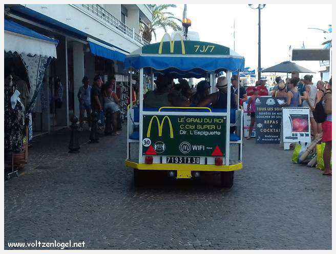 Cheval camarguais galopant librement dans les marais, symbole de la nature sauvage de la Camargue.