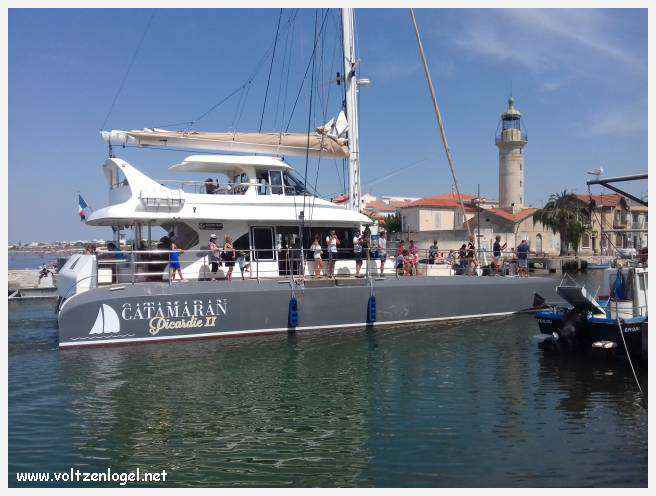Cheval camarguais galopant librement dans les marais, symbole de la nature sauvage de la Camargue.